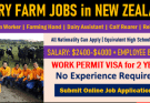 Farm Work Jobs In New Zealand