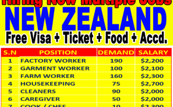 Factory Workers Jobs In New Zealand