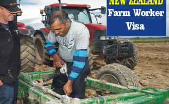 Farm Work & Jobs In New Zealand