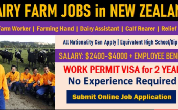Farm Work & Jobs In New Zealand