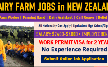 Farm Work Jobs In New Zealand