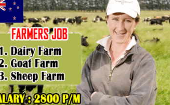 Farm Workers Jobs In New Zealand