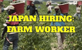 Japan Farm Worker Jobs