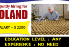Chocolate Factory Worker Jobs In Poland