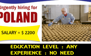Chocolate Factory Worker Jobs In Poland