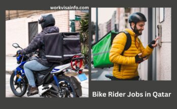 Bike Rider Jobs in Qatar