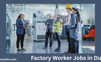 Factory Worker Jobs in Dubai
