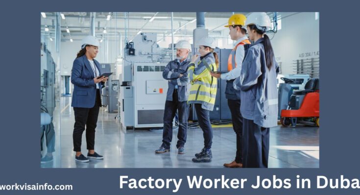 Factory Worker Jobs in Dubai