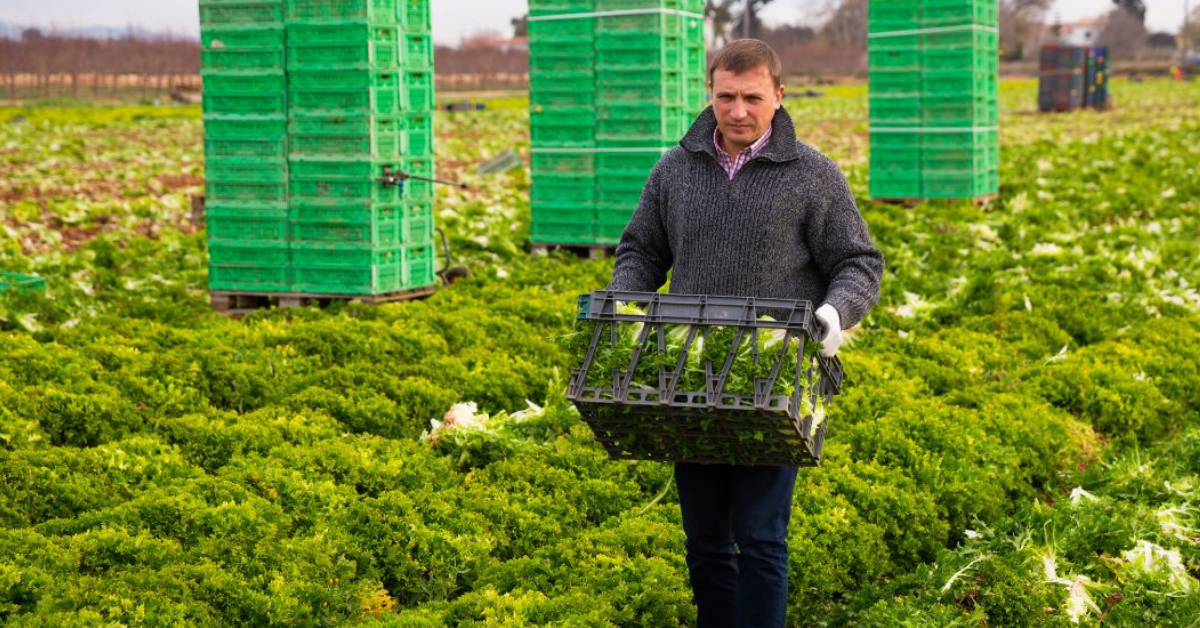 Japan Farm Worker Salary Trends & Job Demand