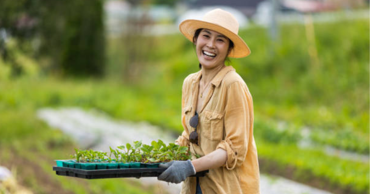 Japan Farm Worker Visa Requirements & Application