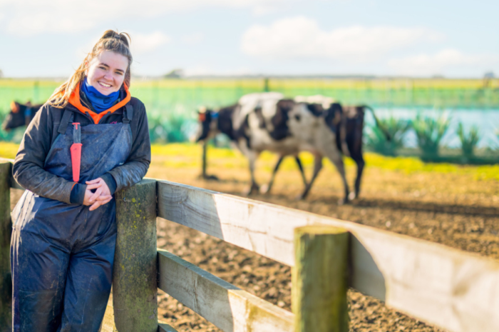 Dairy Farming Jobs in New Zealand